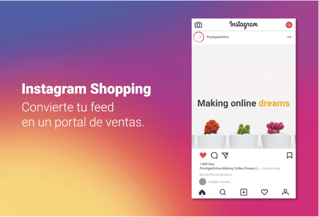 Instagram Shopping Gestión