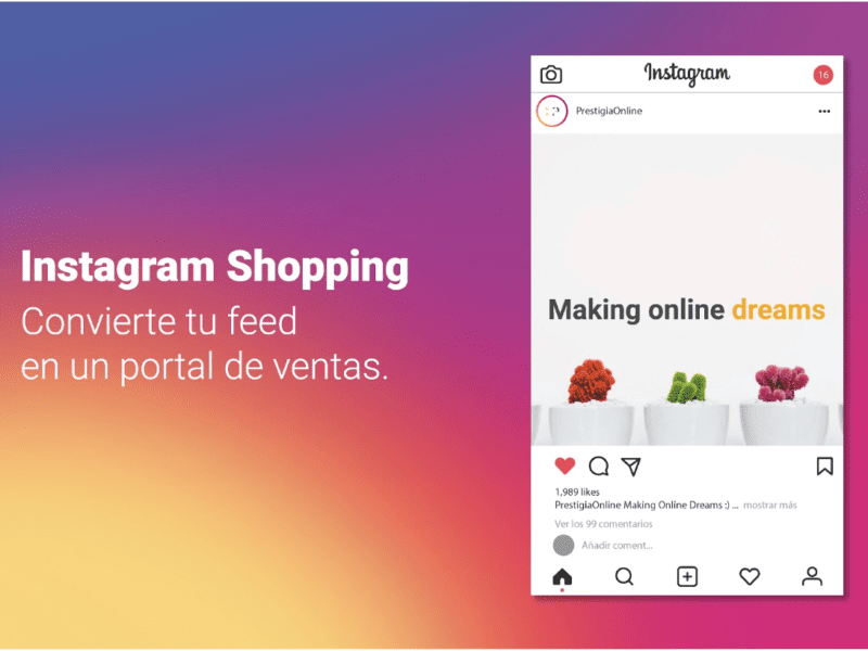 Instagram Shopping Gestión